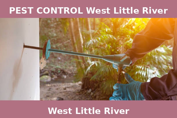 PEST CONTROL West Little River